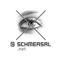 Кнопочный выключатель Schmersal NDLP30GR/WS