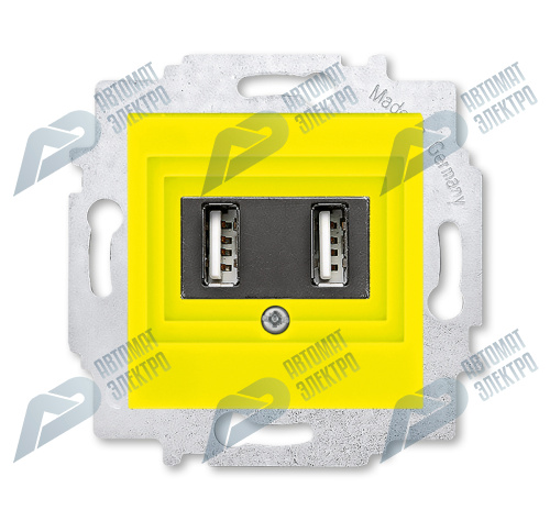 ABB EPJ Levit жёлтый / дымчатый чёрный USB зарядка двойная, жёлтый