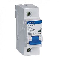 Автоматический выключатель NXB-125G 1P 100A 10кА х-ка C (CHINT) 816086