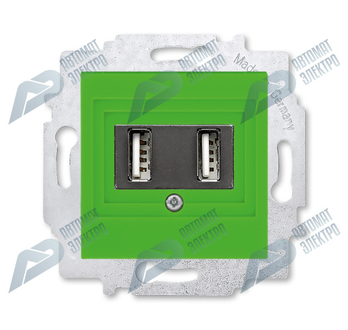 ABB EPJ Levit зелёный / дымчатый чёрный USB зарядка двойная, зелёный