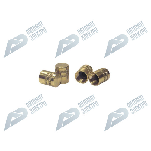 Цельнолатунные колпачки Quick Seal™ 1/4 дюйма, 6 упаковок (40572) Цельнолатунные колпачки Quick Seal™ 1/4 дюйма, 6 упаковок (40572)