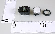 СВЕТЛО - белый пилот 181B5861