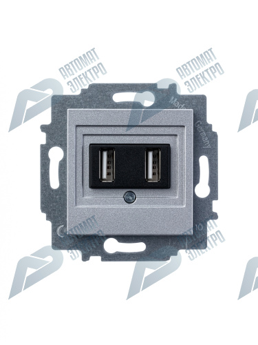ABB EPJ Levit серебро / дымчатый чёрный USB зарядка двойная, серебро фото 2