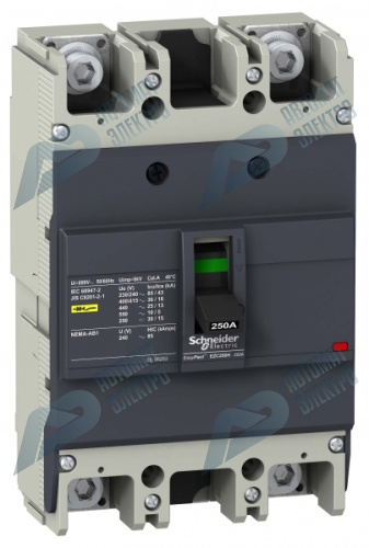 SE EasyPact EZC250 Автоматический выключатель 36кA 415В 3P/2Т 175А