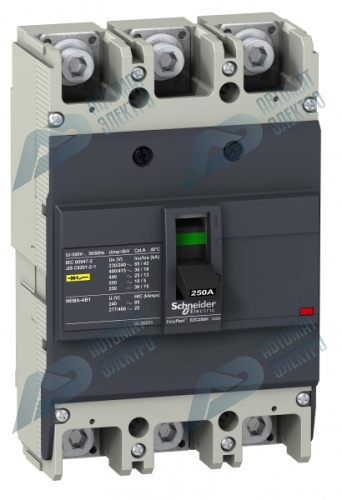 SE EasyPact EZC250 Автоматический выключатель 3P/3Т 100A 36кA/415В