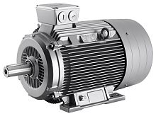1LG6318-4MA SIMOTICS SD LOW-VOLTGAGE MOTOR, CL, IP55 4POLE *FS315L* THERM.CL.155(F) OPTIMIZED FOR IE2 * CAST-IRON HOUSING IN EEA: CONSIDER EFFIC. GRADE ACC. TO CURR. VALID REGULATION!