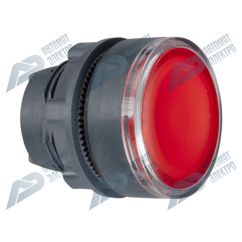 SE XB5 Головка для красной кнопки 22мм с возвратом (ZB5AA48) фото 8