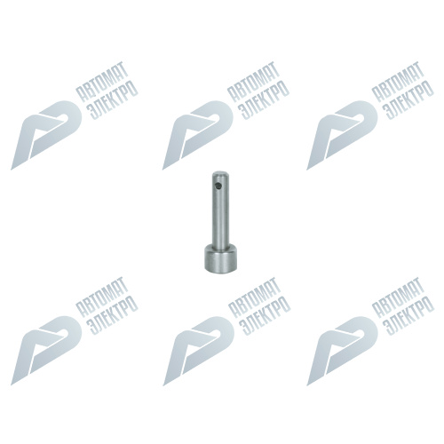 PSEN sg auxiliary release pin