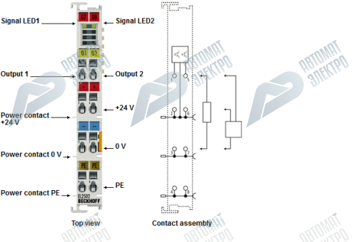 Beckhoff. 2-канальный выходной модуль дискретных ШИМ-сигналов 24 В постоянного тока, 1 A, 4-проводная технология - EL2502 Beckhoff
