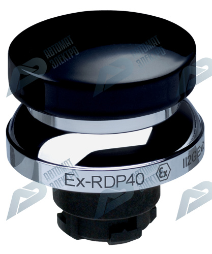 Кнопочный выключатель Schmersal EX-RDP40SW